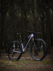 An Alma Orca bicycle in a forest.