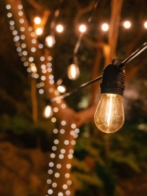Light bulb hanging from wire with lit up tree in background