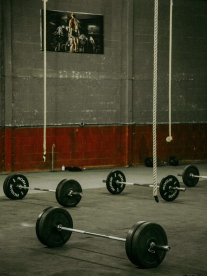 Free weights and dumbells in gym provided by Gym Gear