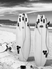 Surfboards