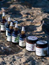 A row of small skincare bottles and jars arranged on a sunlit rock outdoors.
